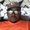 Photo of Rashawn G.
