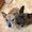 Photo of Meisha M.