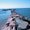 Photo of Alice D.