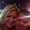 Photo of Jessi L.