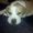 Photo of Taryn M.