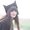 Photo of Huda H.