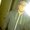 Photo of Pieroh S.