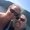 Photo of Cindy K.