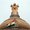 Photo of Ghazalah S.