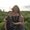 Photo of Kristie M.