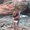 Photo of Suzy D.
