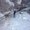 Photo of Nishad K.