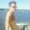 Photo of Justin J.