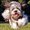 Photo of Qype User (DasFch…)
