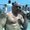 Photo of Mike S.