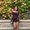 Photo of Diana N.