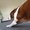 Photo of Qype User (sandma…)