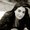 Photo of Jill G.