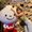 Photo of Trang T.