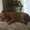 Photo of Blanky U.