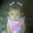 Photo of Melissa S.