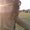 Photo of Belu M.