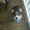 Photo of Ann D.