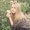 Photo of Alesia S.
