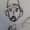 Photo of Miguel S.