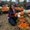 Photo of Perla T.