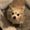 Photo of Amiya L.