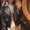 Photo of Bria S.