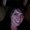 Photo of Nina S.