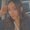 Photo of Celeste Q.