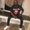 Photo of Jackov S.