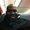 Photo of Jamil P.
