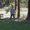 Photo of Josh M.