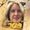 Photo of Jenn H.