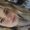 Photo of Jordyn B.