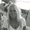 Photo of Shannon P.