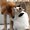 Photo of Nelli P.