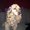 Photo of Ami N.