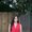 Photo of Antonella D.