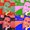 Photo of Qype User (alexbl…)