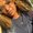 Photo of Talitha N.