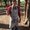 Photo of Matthew P.