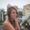 Photo of Caitlin M.