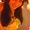 Photo of Melinda M.