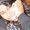 Photo of Kito K.
