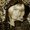 Photo of Magda S.