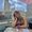 Photo of Briana M.