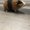Photo of Kooper S.