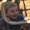 Photo of Danielle P.