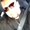 Photo of Gio R.